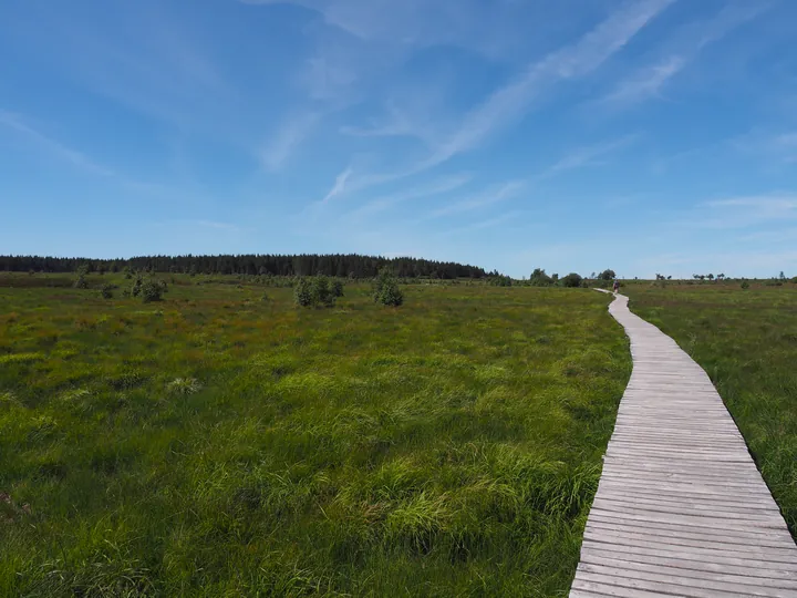 Signal de Botrange (Belgium)